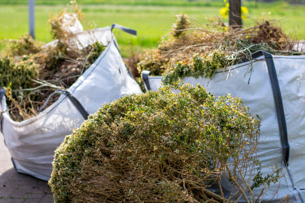 Best Shed Removal  in Tomball, TX